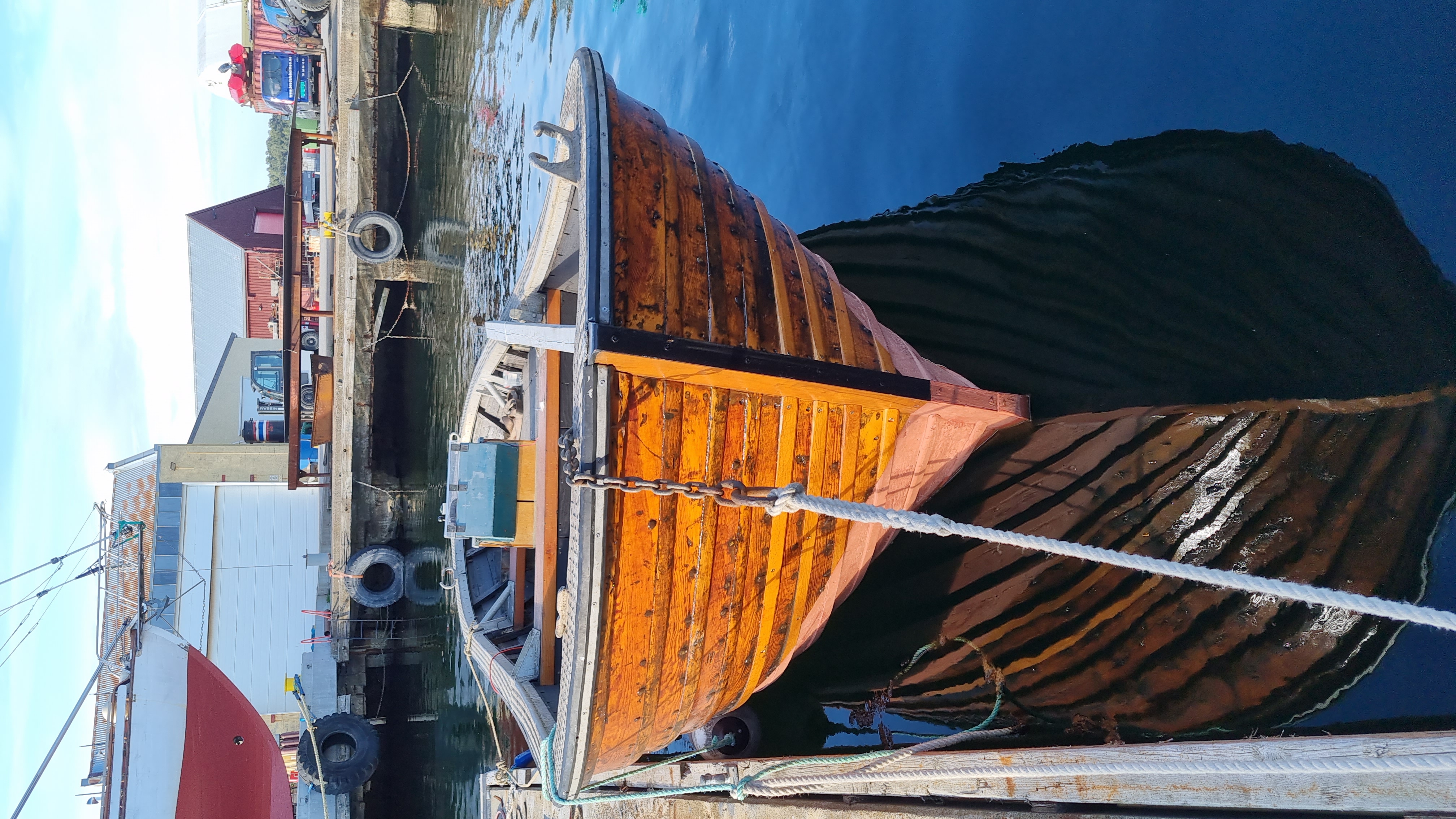 Grisen p&aring; gamle oks&oslash;y til ris&oslash;r.jpg