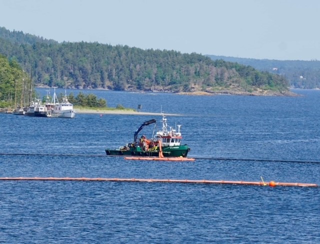 Foto: Trond Svenning. 