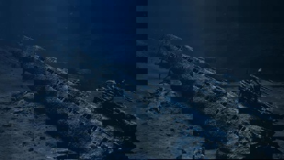 Bilde av ubåtvraket U-864.